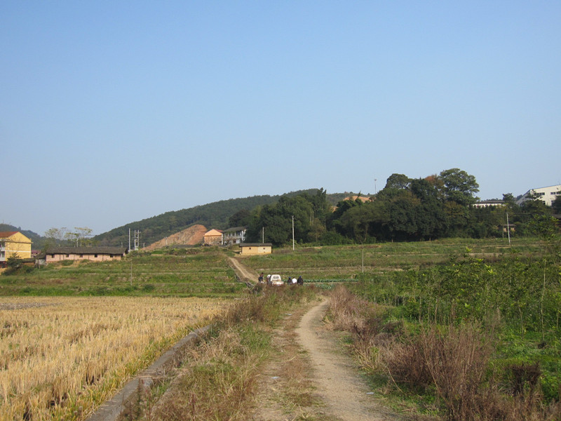 山峰村(貴州省正安縣鳳儀鎮山峰村)