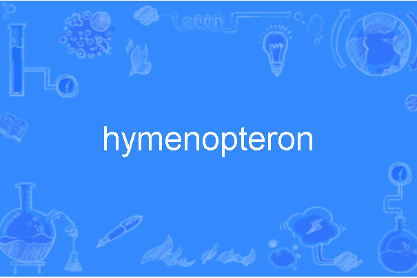 hymenopteron