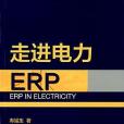 走進電力ERP