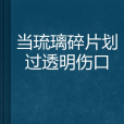 當琉璃碎片划過透明傷口