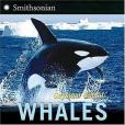 Whales(2006年Harpercollins Childrens Books出版的圖書)