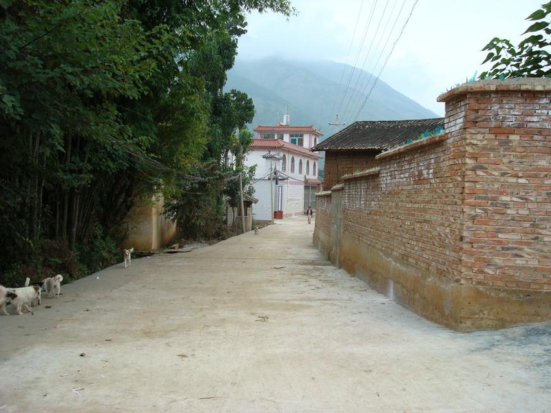 通村道路