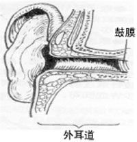 壞死性外耳道炎