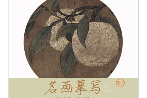 名畫摹寫——宋人花鳥 · 橘綠圖