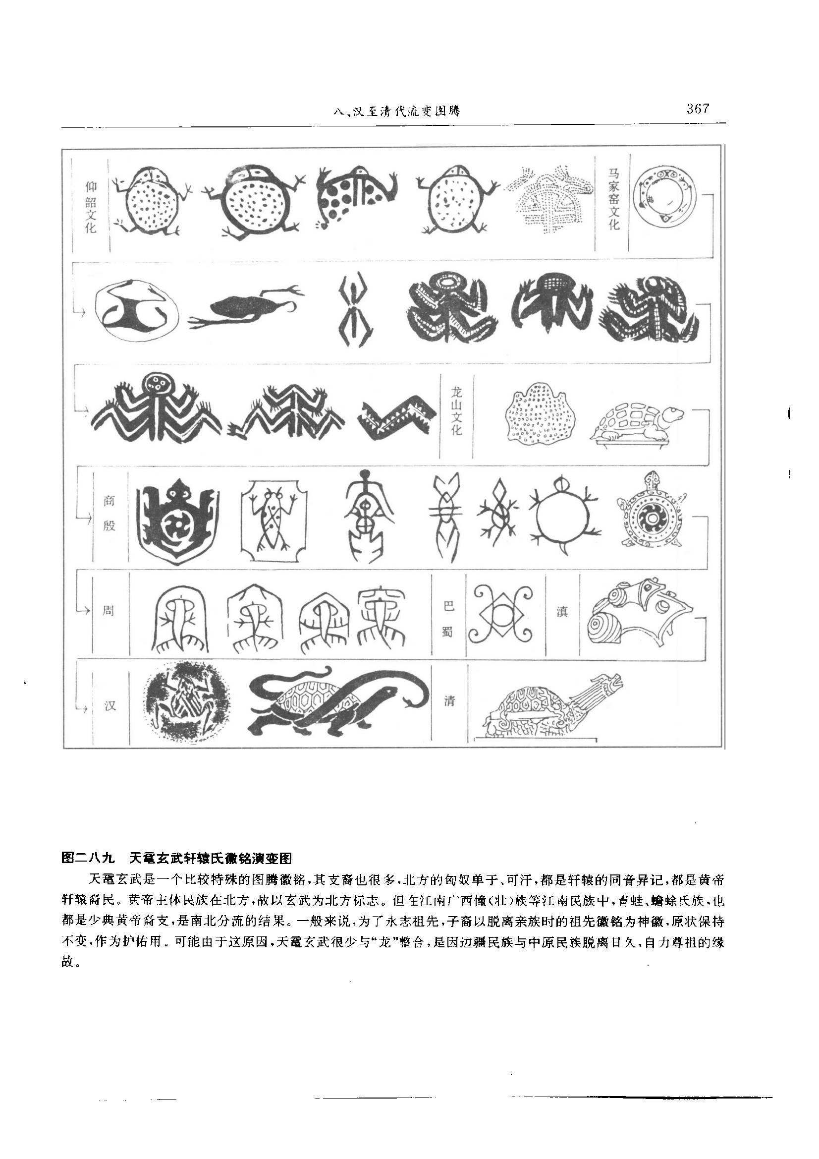 蟾蜍紋的演變