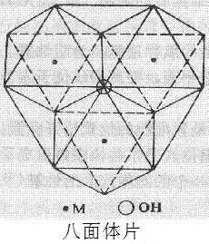 八面體片