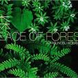 森 PEACE OF FOREST