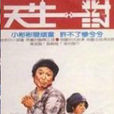 天生一對(1984年朱延平指導電影)