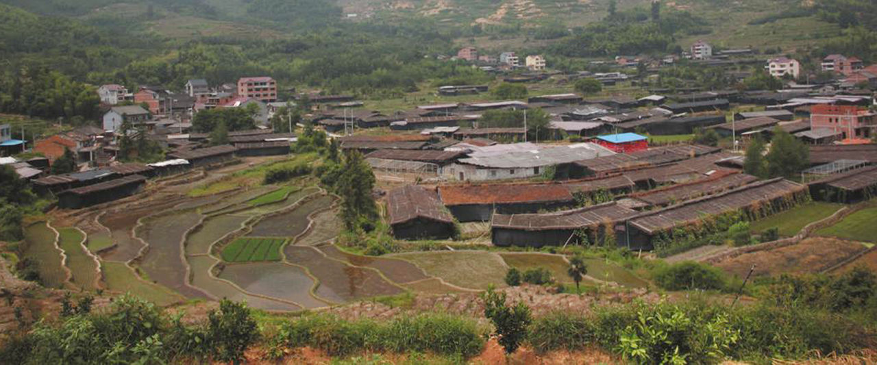 大坪村(雲南省永勝縣東風鄉東樂村委會大坪村)