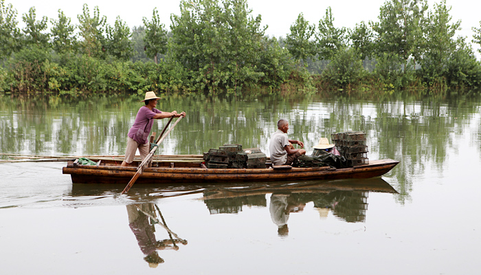 金水河