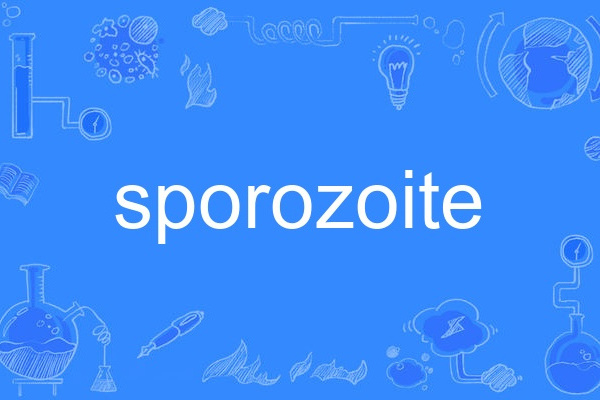 sporozoite