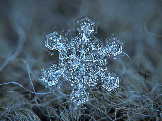 雪花——生命戰歌