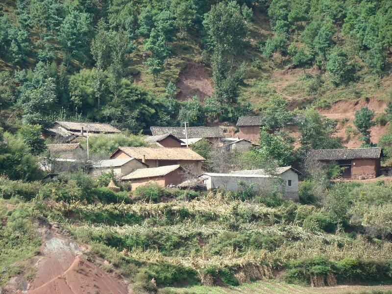 松棵村(安徽省六安市霍邱縣孫崗鄉松棵村)