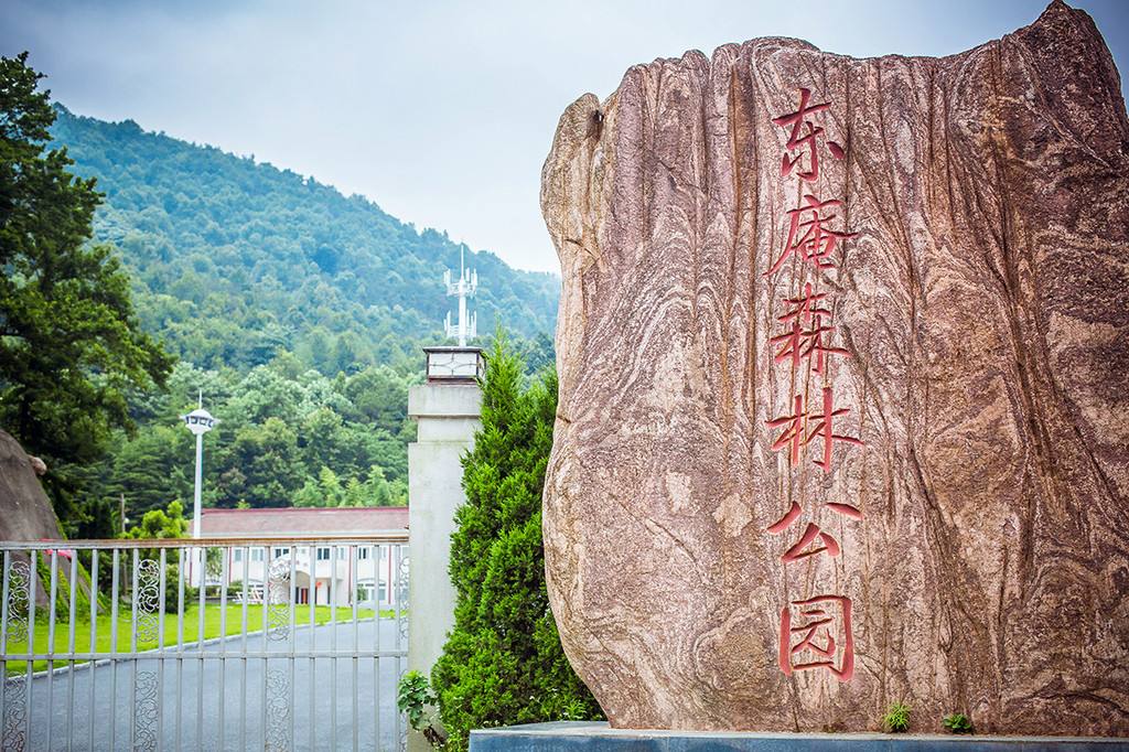 安徽東庵省級森林公園