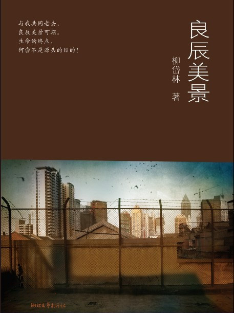 良辰美景(2011年浙江文藝出版社出版的圖書)