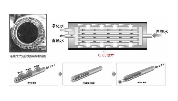 沁爾美