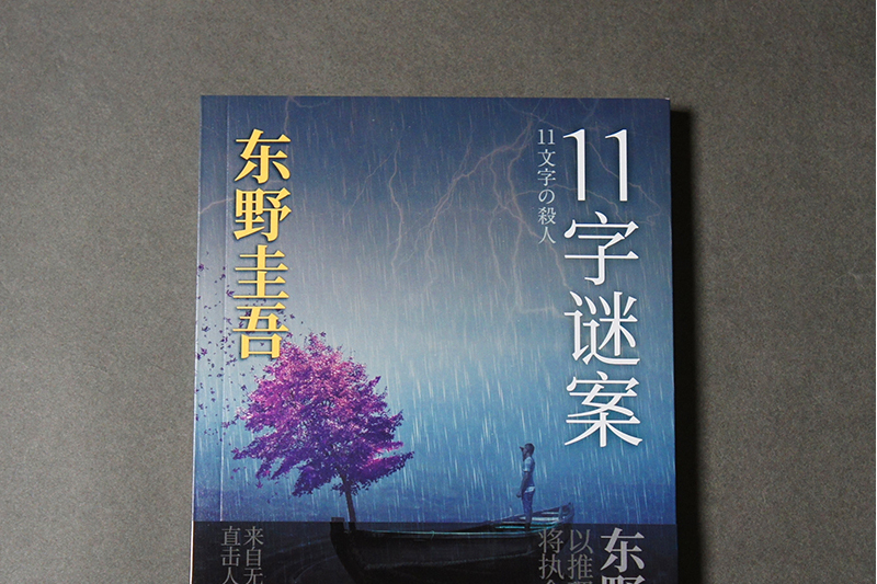 11字謎案(2023年人民文學出版社出版的圖書)