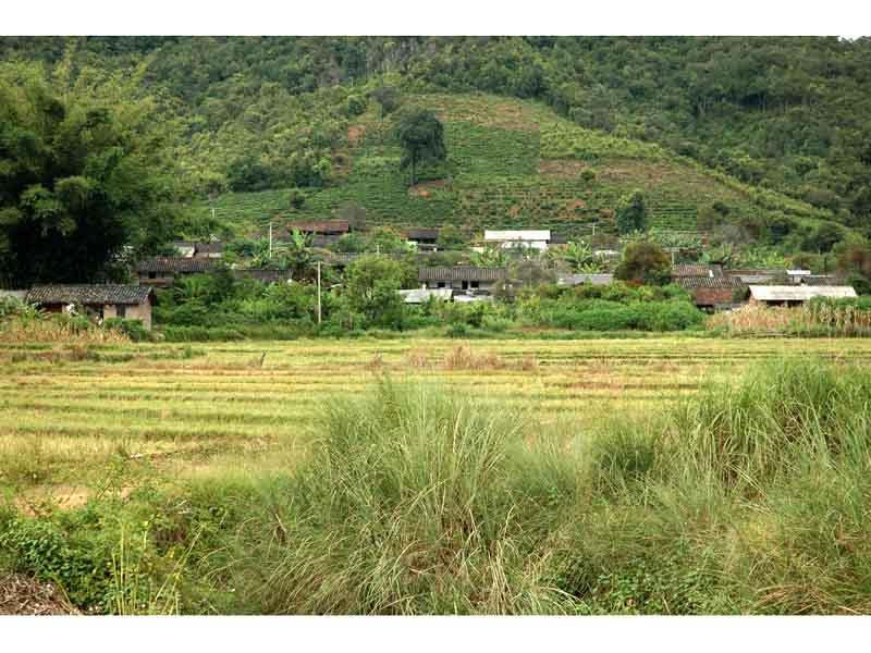 大寨山村(雲南省西雙版納州景洪市景訥鄉大寨山村)