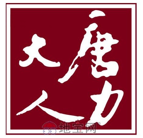 大唐人力logo