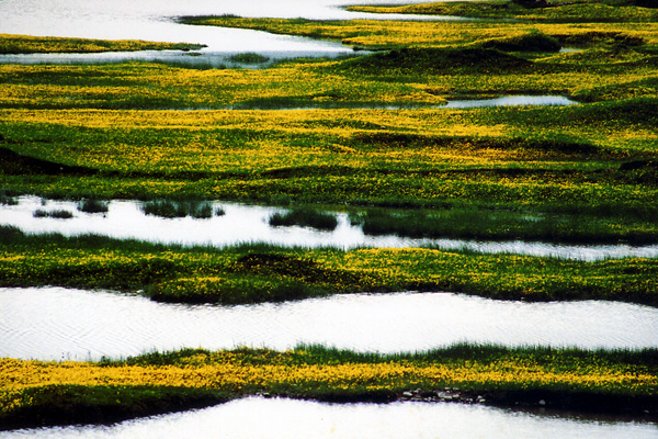 鄱陽湖濕地景觀