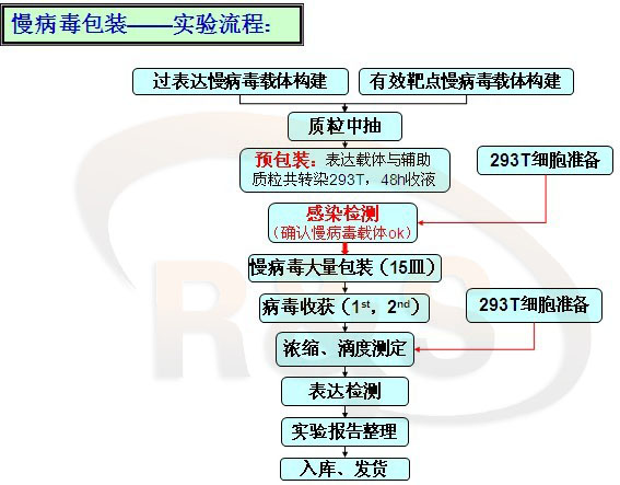 病毒包裝