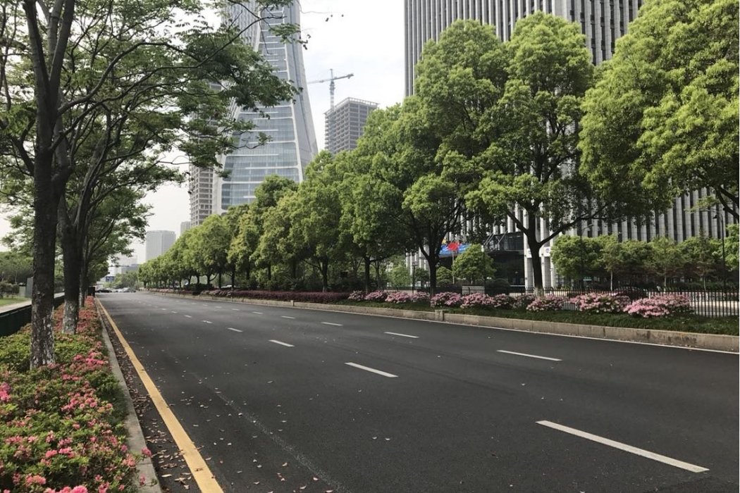 新業路(廣州市增城區道路)