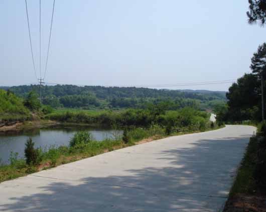 新壠村(湖南省雙峰縣下轄村)