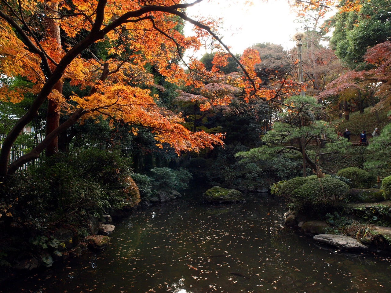 殿谷戶庭園