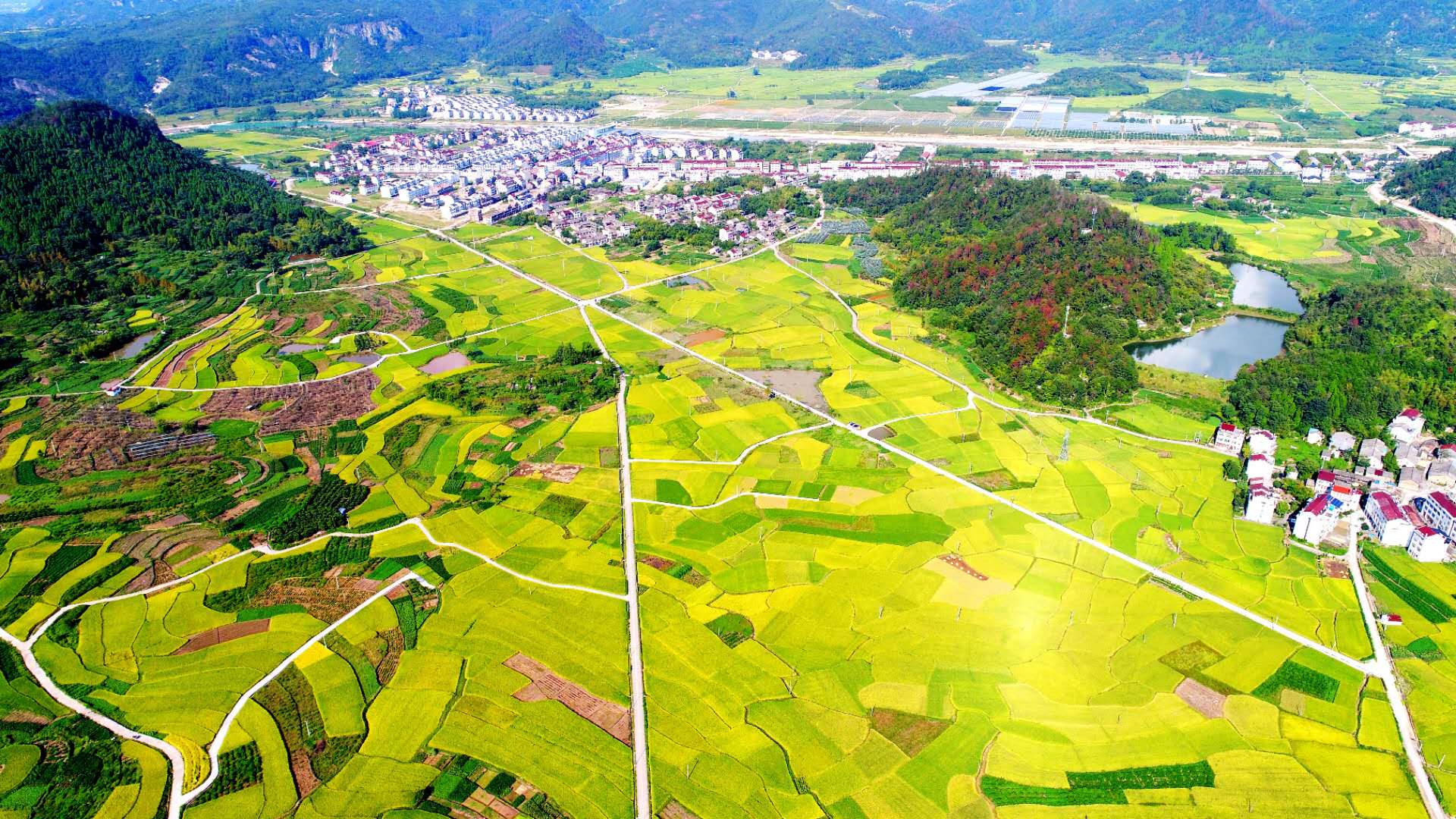 雙廟鄉(浙江省仙居縣下轄鄉)