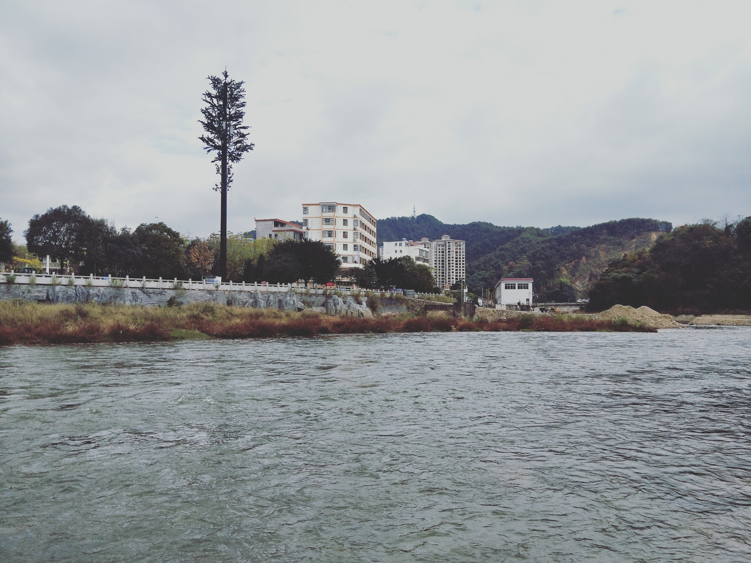 章水（大余縣城段）