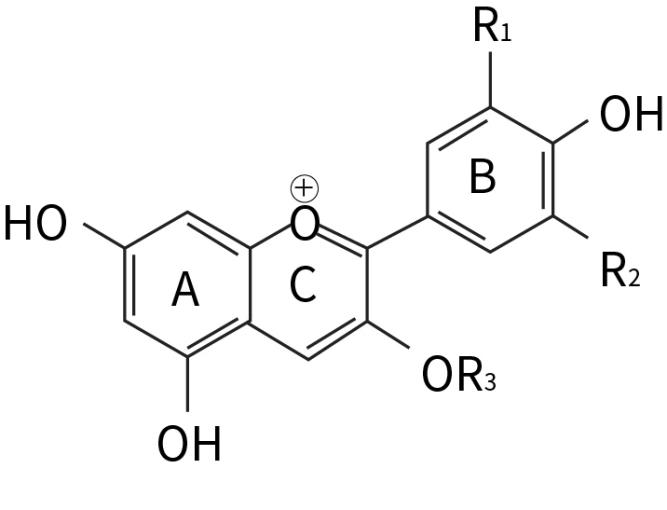 藍莓花色苷