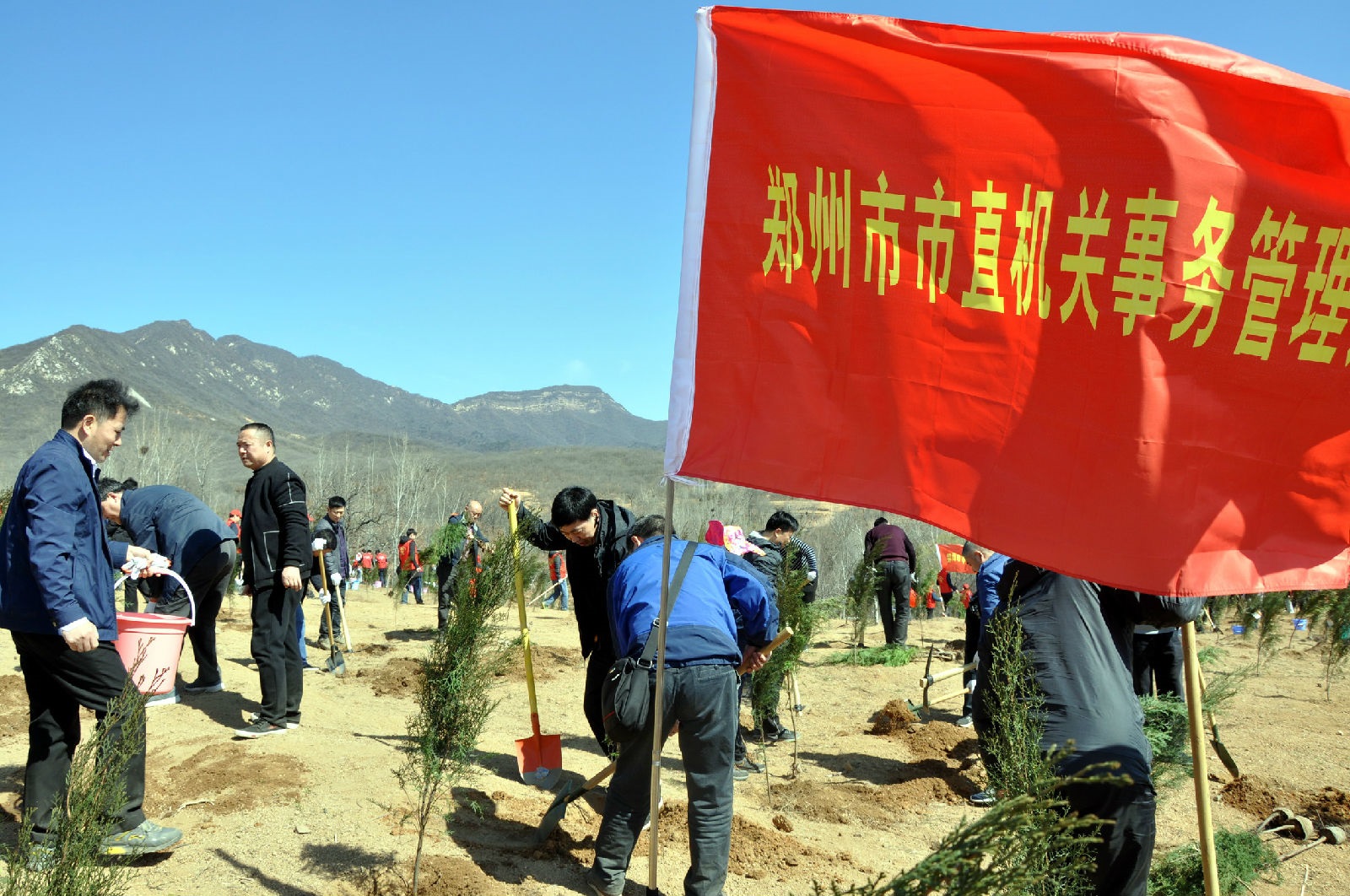 鄭州市事管局植樹活動