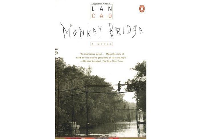 Monkey Bridge