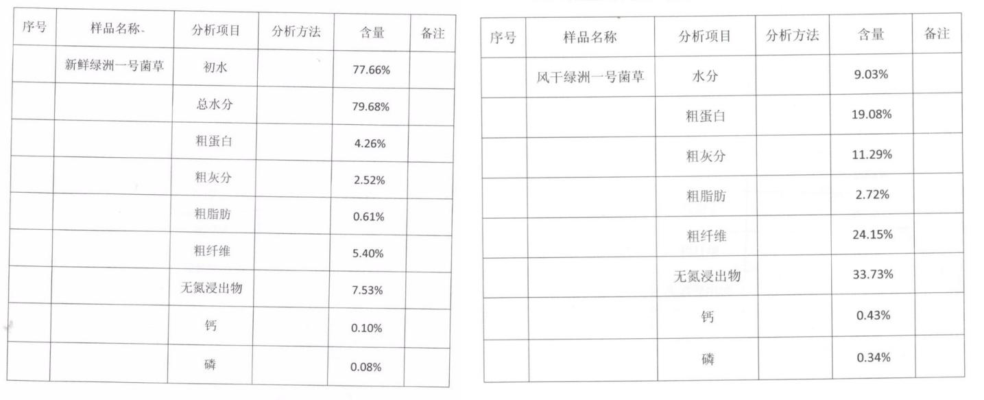 綠洲一號