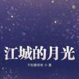 江城的月光(不知春將老創作的網路小說)