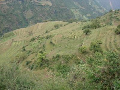 碧玉河下村山地