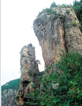 新泰蓮花山國家森林公園