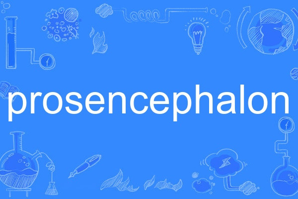 prosencephalon