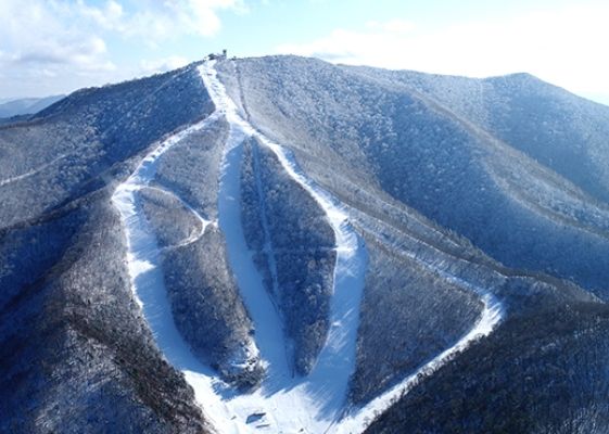 龍坪高山滑雪中心