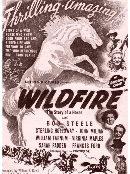 Wildfire(美國1945年Robert Emmett Tansey執導的電影)