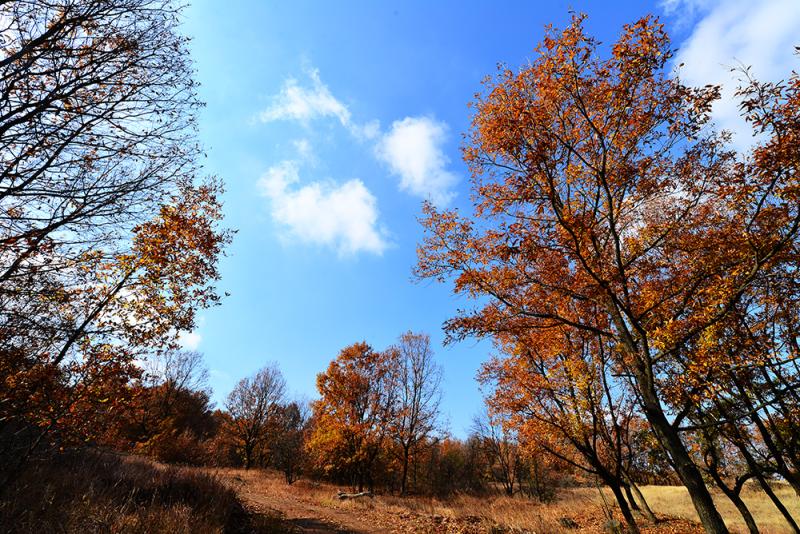 安徽老嘉山國家森林公園