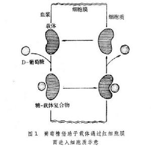 吸收