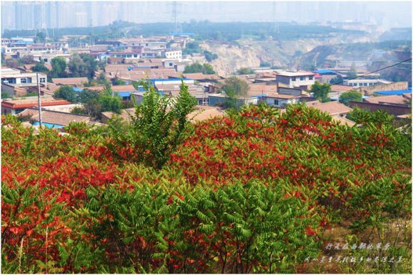 范坪子村