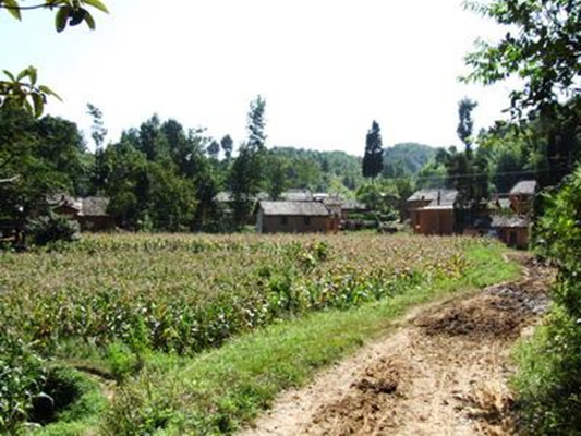 柒樹灣村(雲南省曲靖霑益縣白水鎮柒樹灣村)