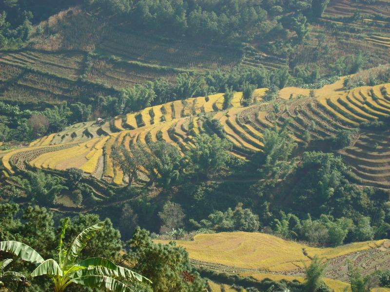 玉華村(雲南省臨滄永德縣大山鄉玉華村)