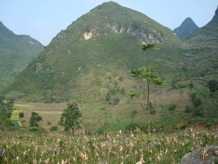 谷桃村-山區全貌