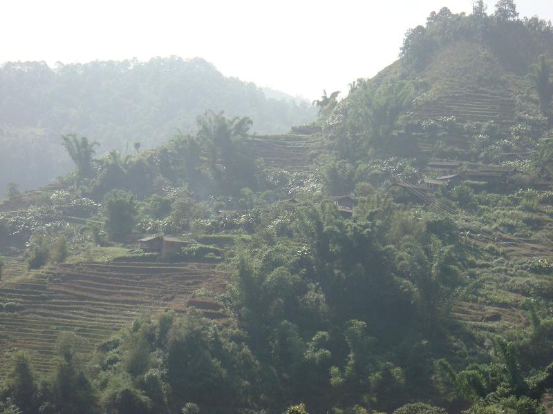 那海大寨村