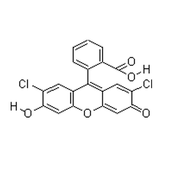 二氯螢光素