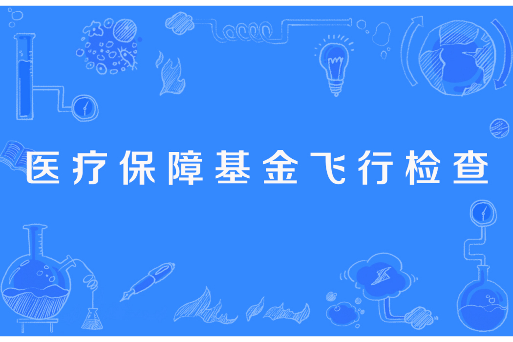 2023年醫療保障基金飛行檢查工作方案