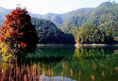 浙江南山湖國家森林公園